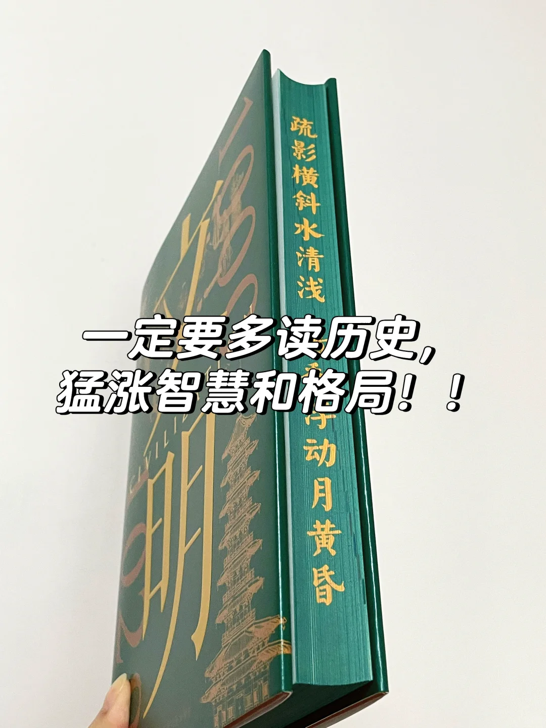 兴趣夜校｜今年读到蕞爆涨知识的历史书！！