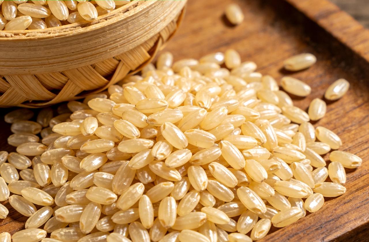 中国首创竹稻米火爆出圈，并获得大丰收。


        这消息像长了翅膀，飞