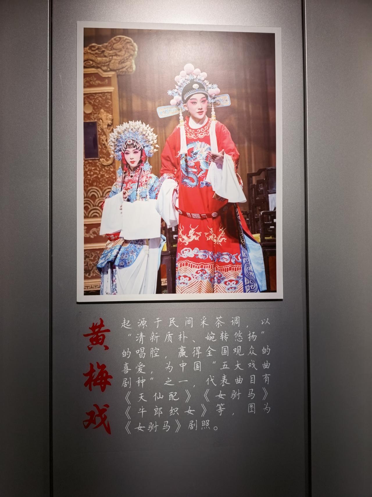这是在合肥某地标性公共文化场馆里面拍摄到的它所体现的就是安徽的官方态度！