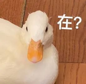 表情包斗图，你准备好了吗？ 更新不易，拿图点赞[心]更多表情包请看主页[心] ​