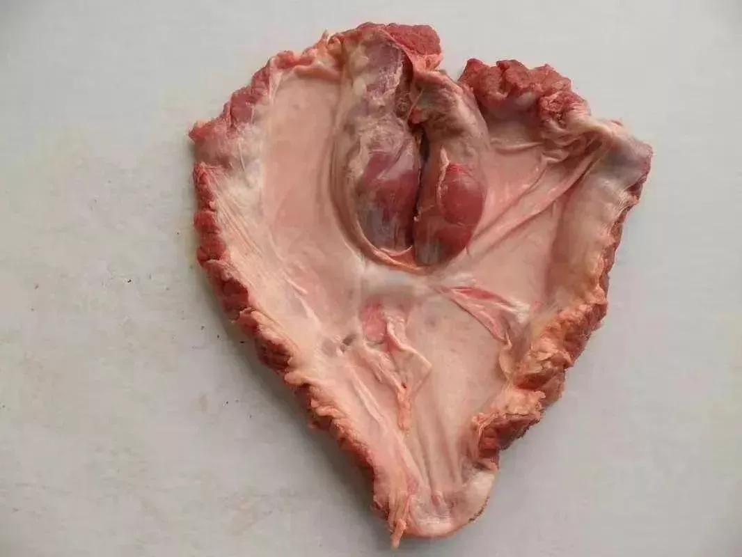 熟食里面又加了新品种护心肉，它是连接胸腔和腹腔的地方，熟食老家叫“锅子肴，”猪头