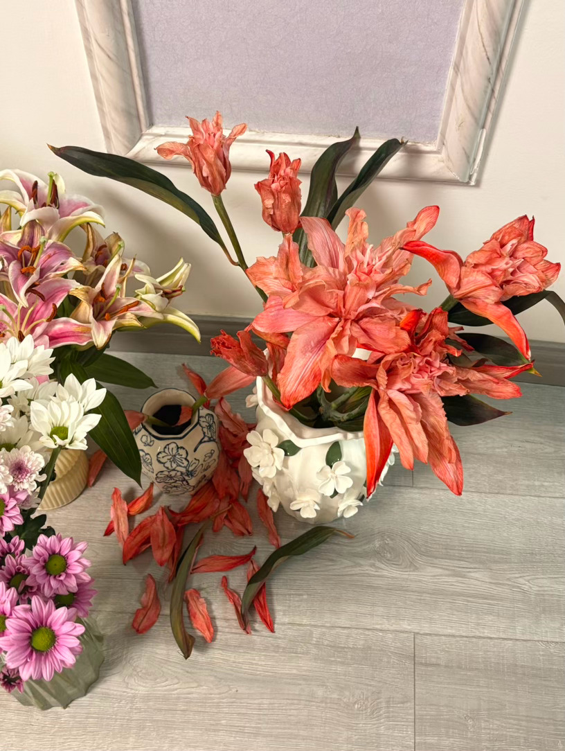 百合花的花期好短可能也是因为天气热了 一下子就凋谢了不过还是很美美的！！！