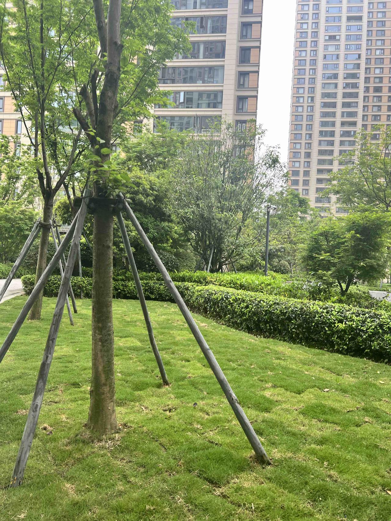 刚才看到一视频，我没有点进去，只瞟一眼标题，大意是公务员做了一年，因为大家勾心斗