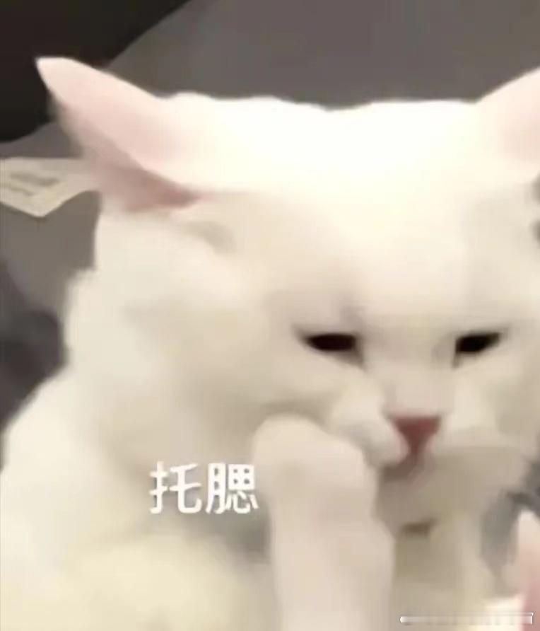 第一批五一寄养钱的人出现了 我也好想去寄养一下，在线等大家都是如何操作的 