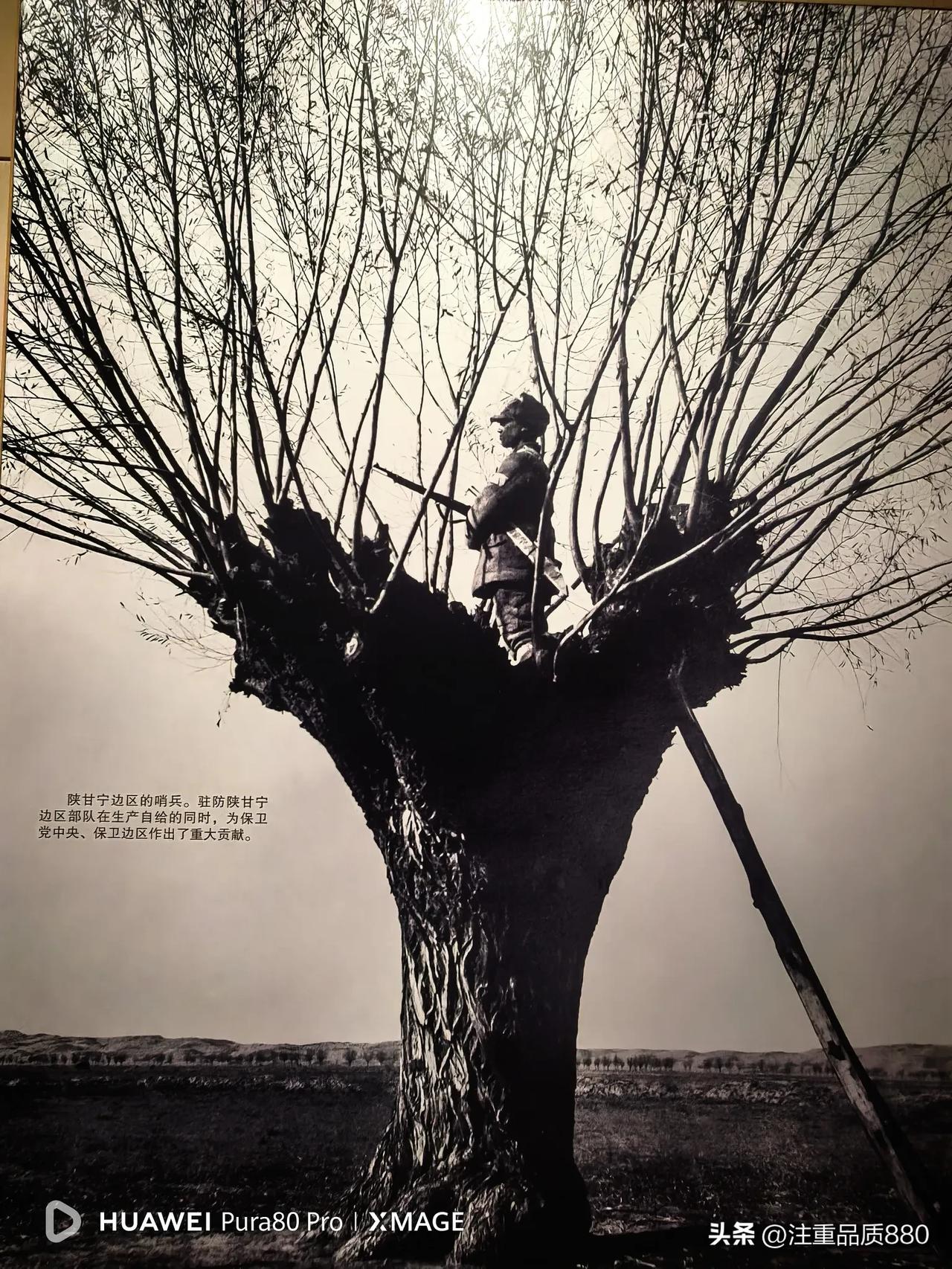 6月1日拍摄于南泥湾大生产运动纪念馆