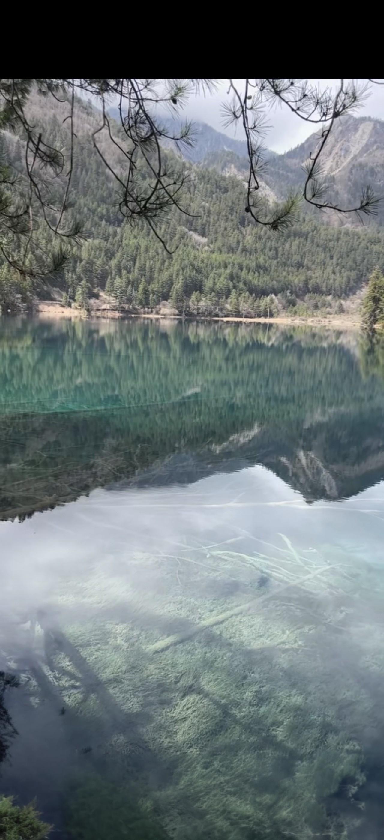 与痛风斗争的历程181
 
   今早醒来，浑身关节都格外顺畅，没有明显的痛感与