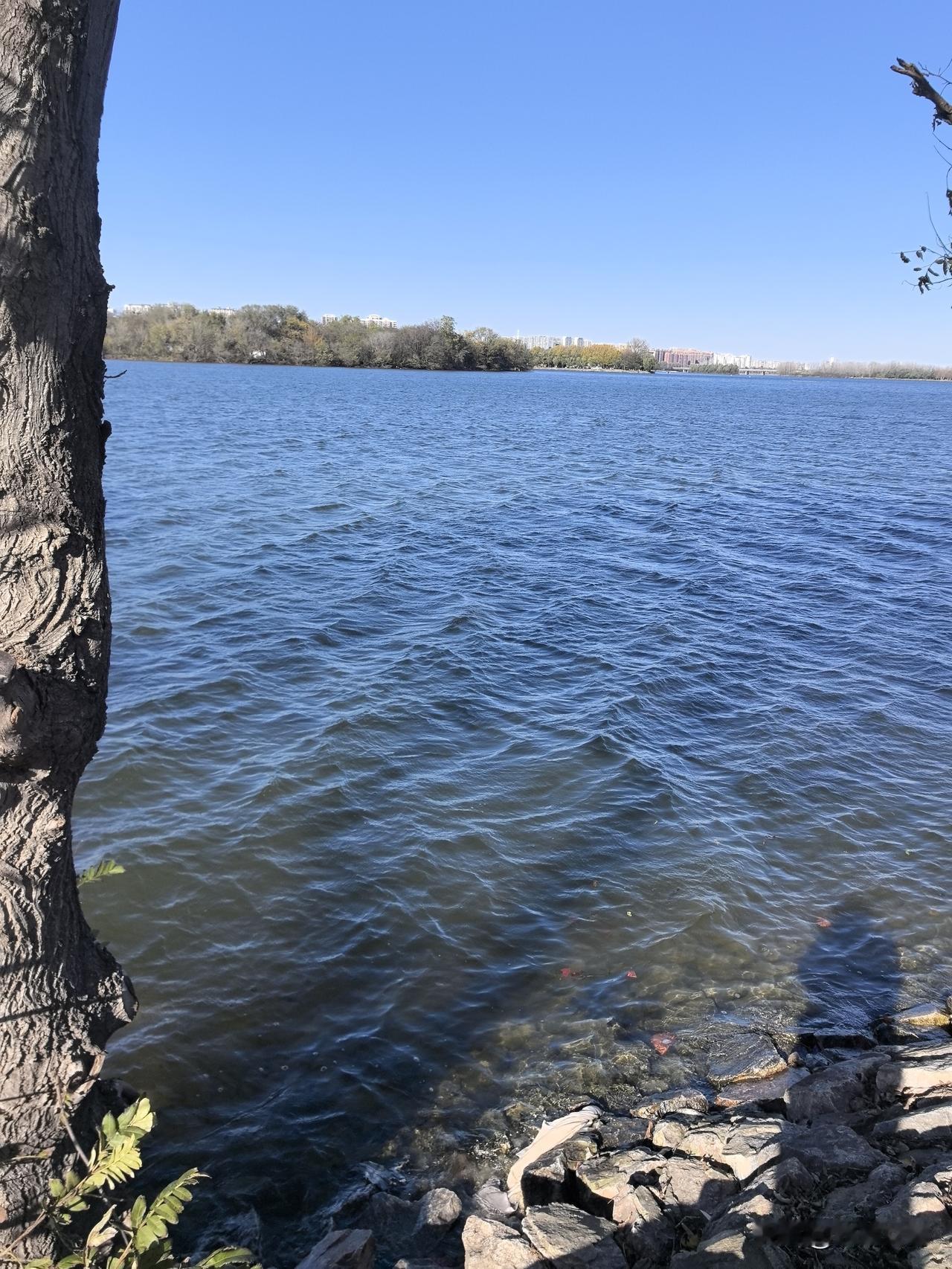 没有钱真的会被亲近的人看不起吗?
社会对每个人都是公平的，一个健全的人，赚不到钱