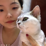 穿越银河科普