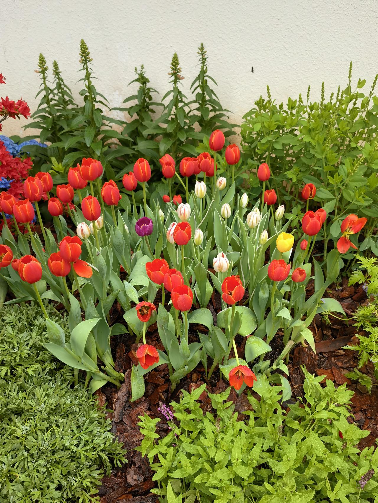 前几天，在成都培训的女儿给我打电话：“爸，今天不知怎么回事，要吃火锅不小心把汤弄