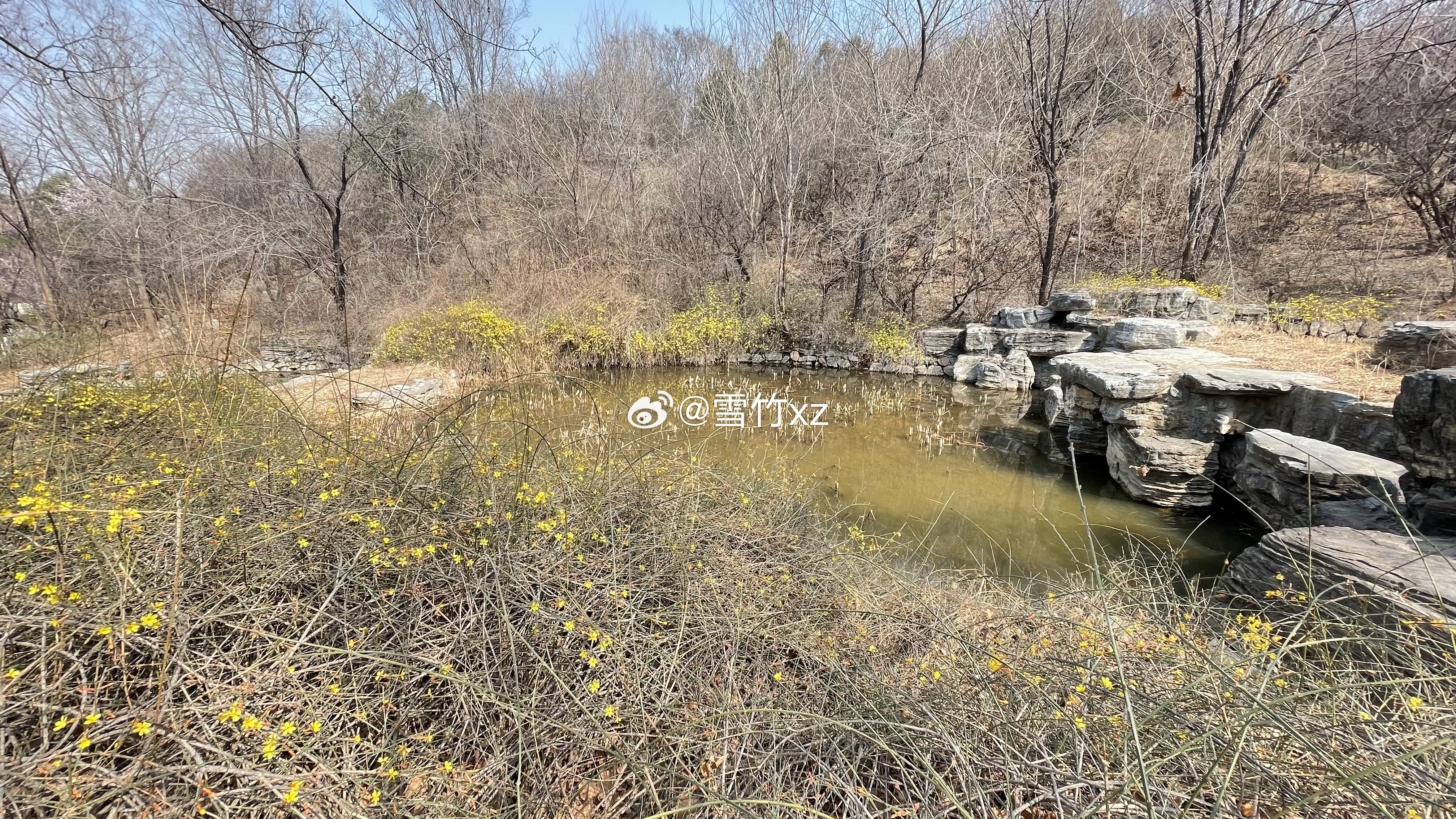 暖日熏园万紫稠，桃花谷里香自流。铁龙掠影跨河去，满岸柳烟拂画舟。 摄影