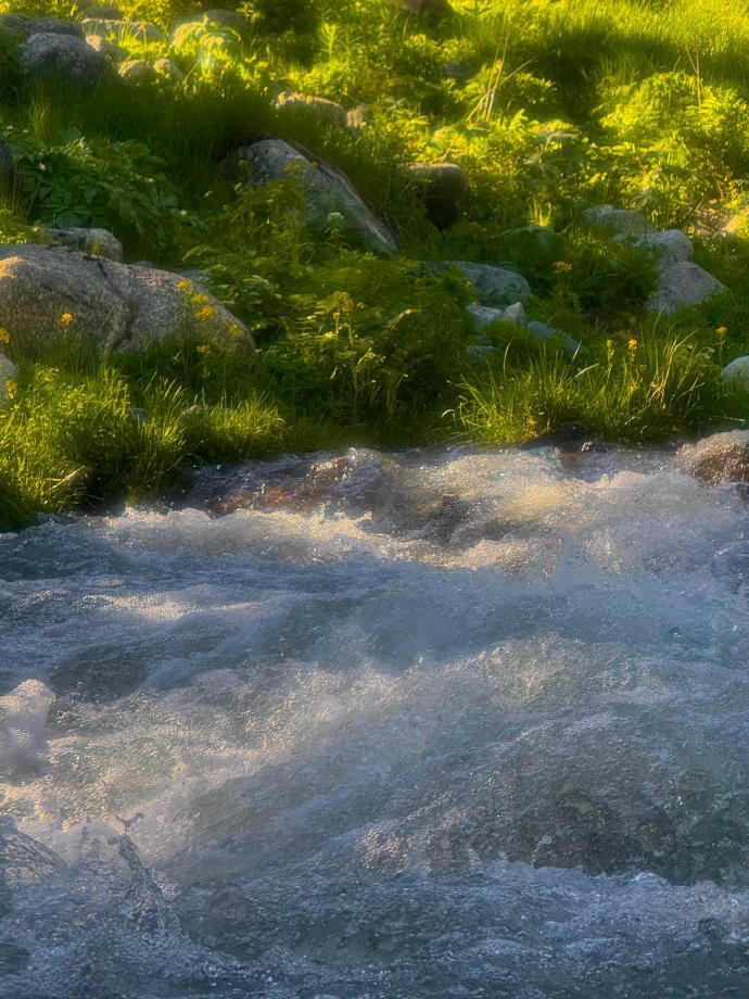 盛夏 溪水 阳光 青草 