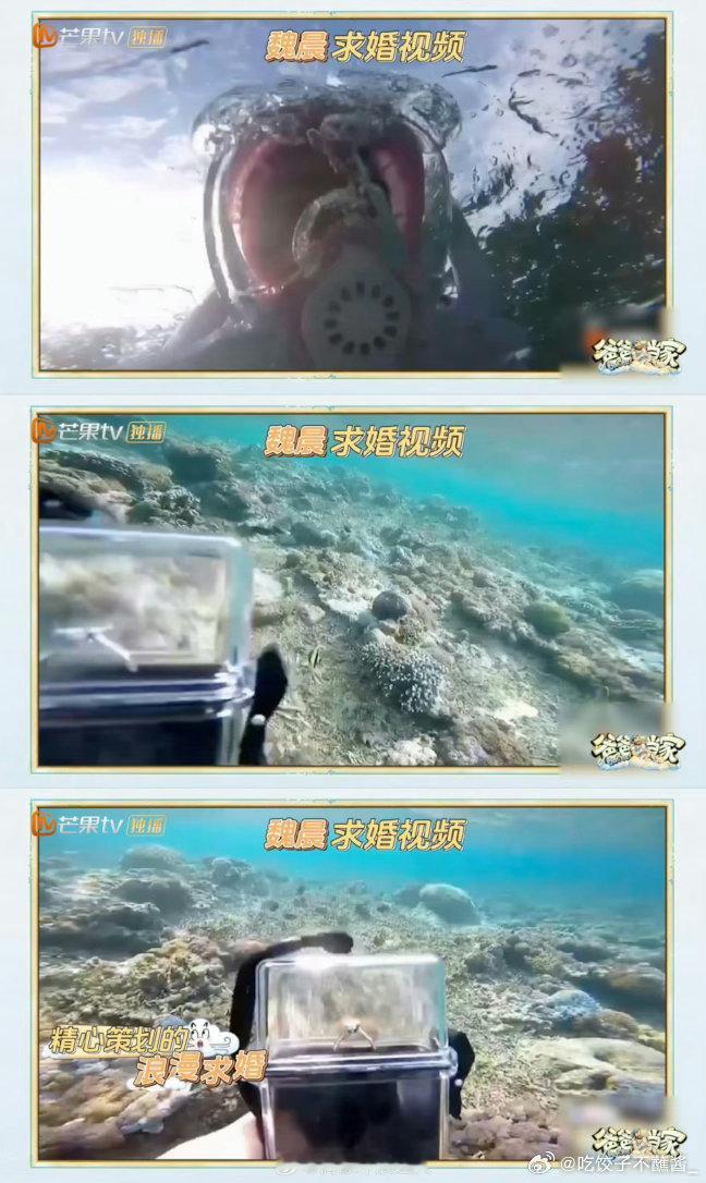 魏晨水下求婚 老婆只顾着追鱼魏晨在节目中自曝2019年精心策划的水下求婚惨遭“截