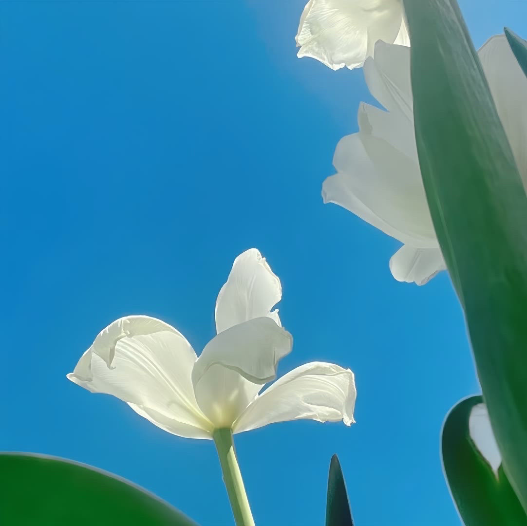 《人民日报》：“如果你抑郁，说明你活在过去；如果你焦虑，说明你活在未来；如果你平