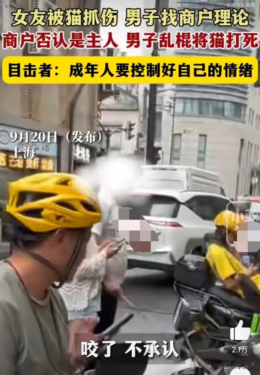这男的实在是太丧心病狂了，当街杀一只猫。
有的人就是手贱，无缘无故的摸陌生的猫干