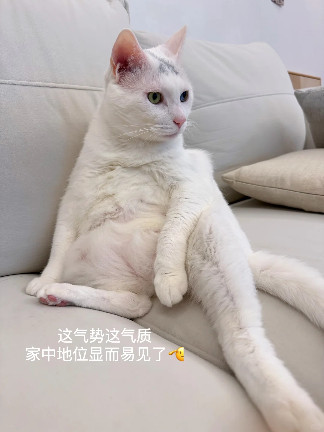 Plog / 一些生活中可可爱爱的小碎片🍿