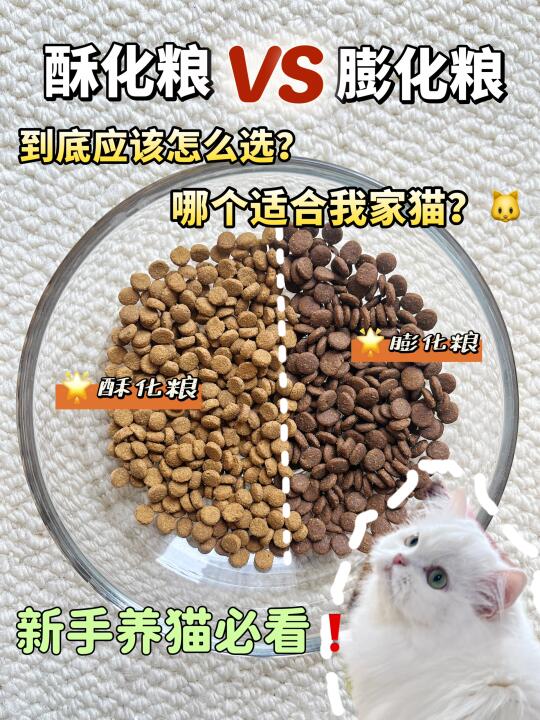 揭秘猫粮黑科技！