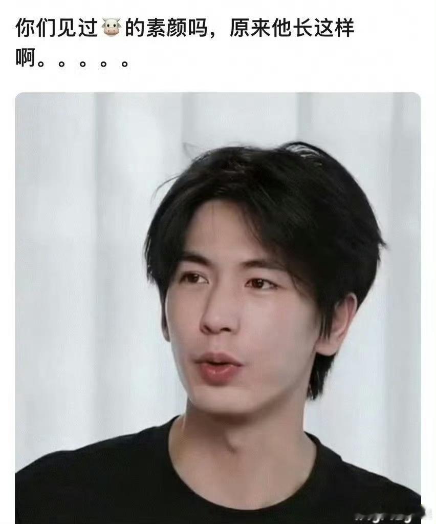 张凌赫的素颜居然长这个样子，也没有说那么的惊艳啊。 