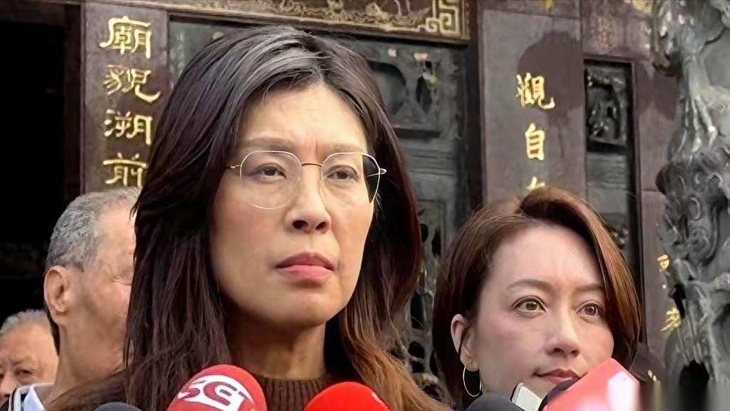 国民党的病根在创党初期学美国两党加盟制，立党者太过油滑现实主义，导致组织松散，根