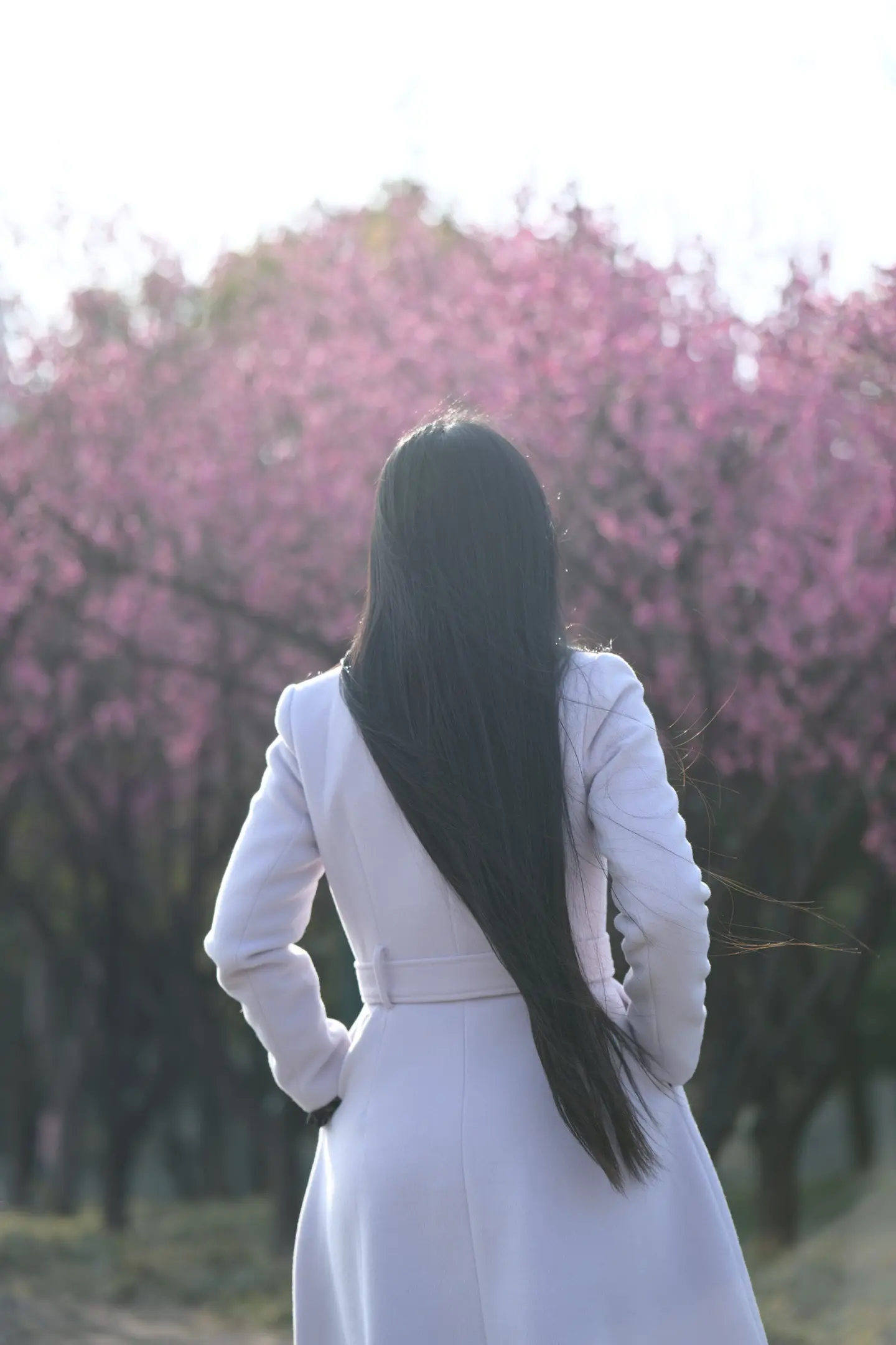 春有约，花不误，岁岁年年不相负，
你若约，我不误，岁岁年年人如初。