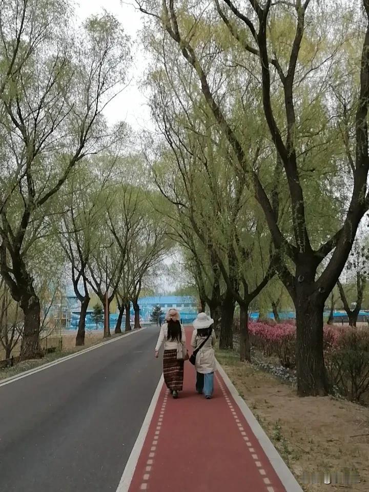 今天我和大姐还有娟姐到江边去玩。我看见她们两个在前面走，两人关系可好了。

她们