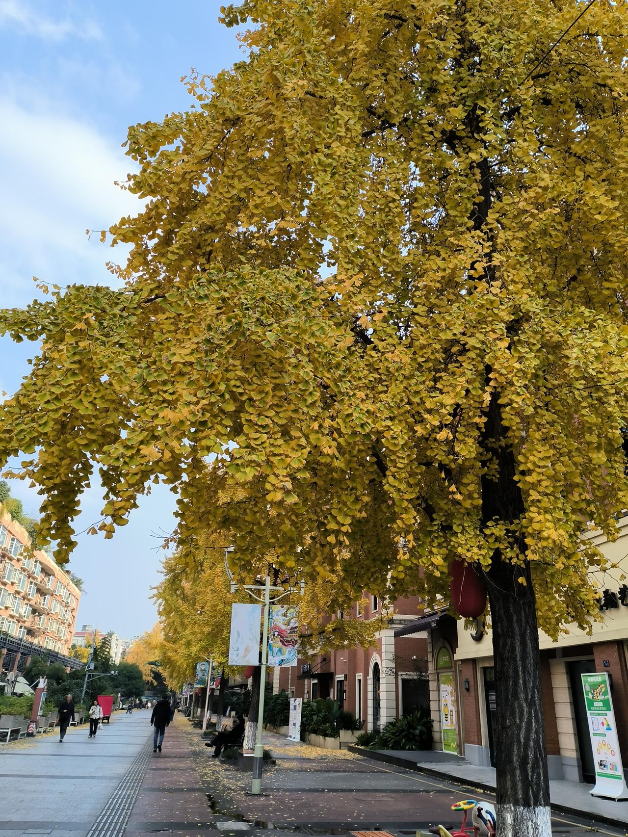 鞋子合不合脚，只有自己知道
今天下楼运动，碰到楼下的小姐妹
看她一脸不高兴，就问