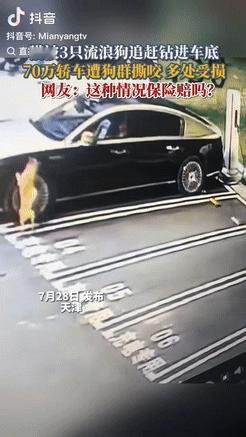 天津一家4S店的70万试驾车突然被划了几道，员工们急忙查看监控，结果发现是三只流