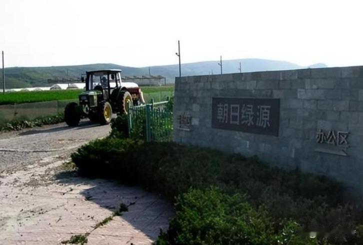 2006年，日本人向中国投资了15亿，在山东租下了1500亩地，居然什么都不种，