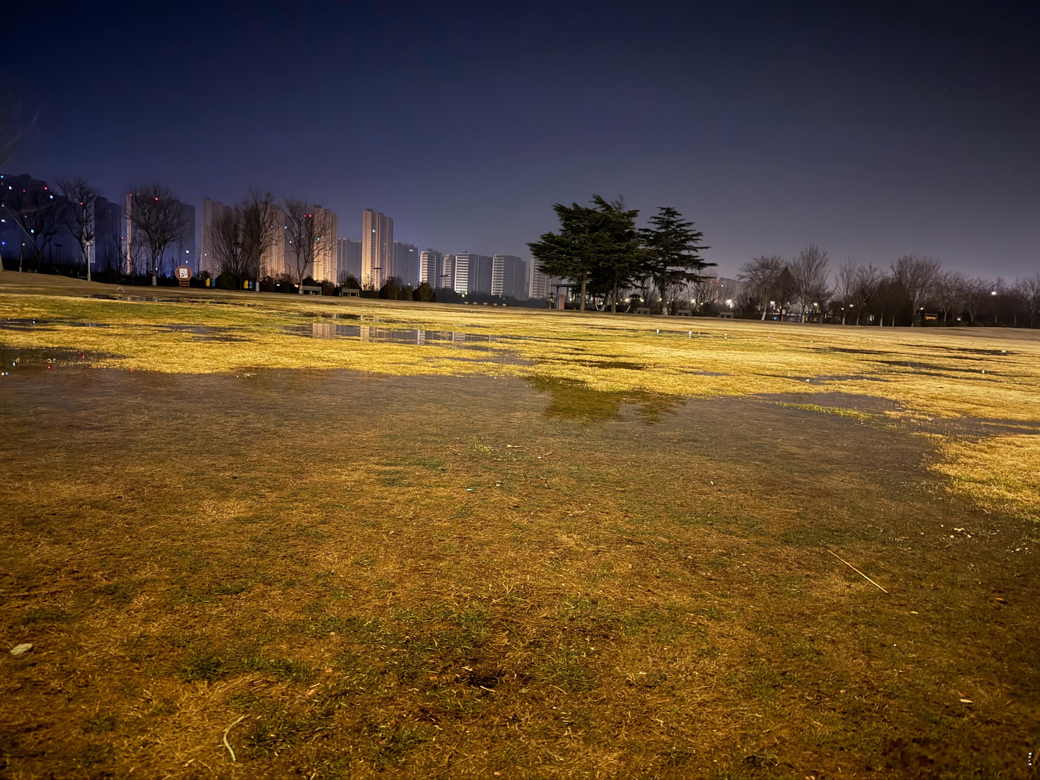 每年这个时间市政就会让工人开始浇灌到了三月份就会慢慢变绿五月份就郁郁葱葱的年复一