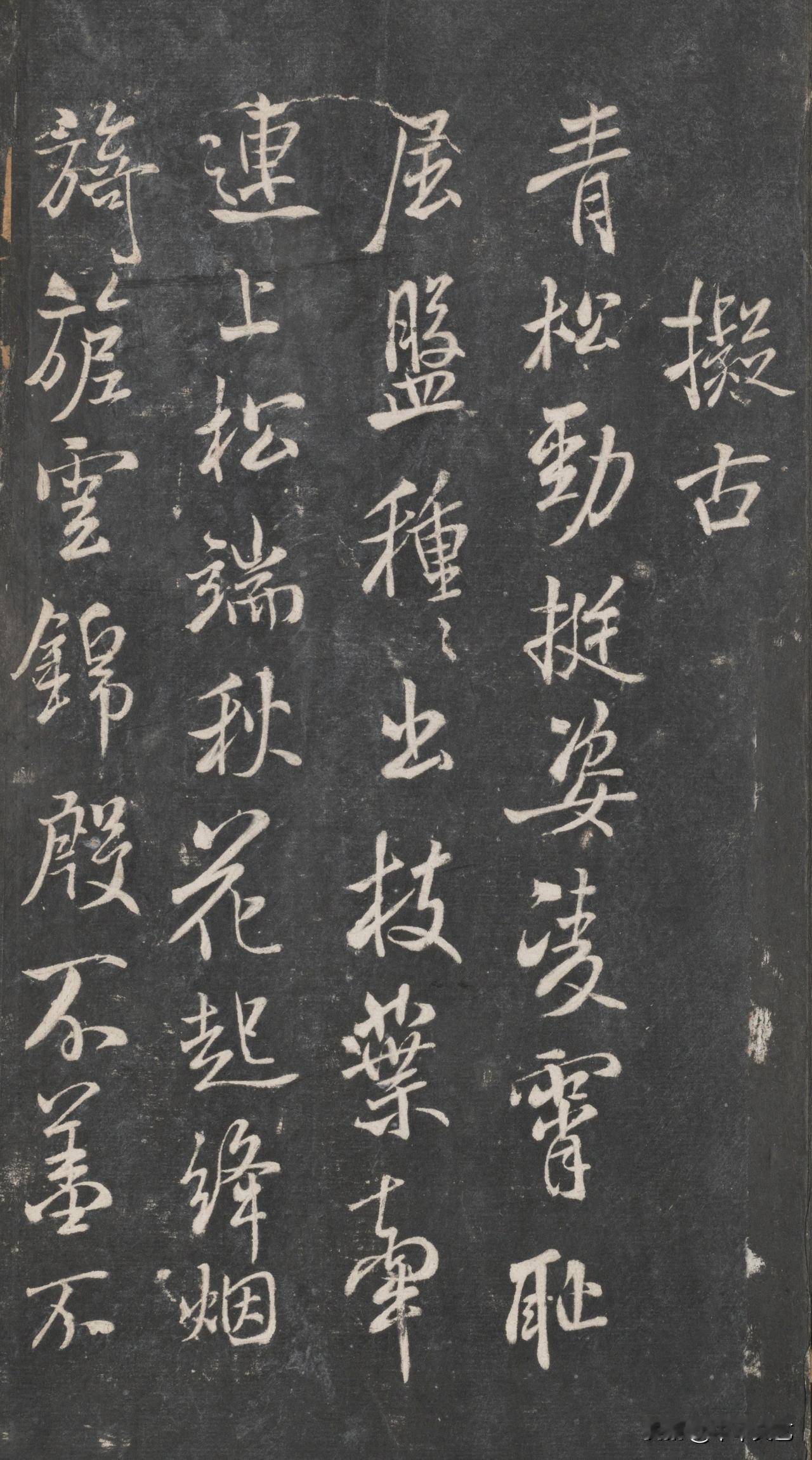 拟古
青松劲挺姿，凌霄耻屈盘。种种出枝叶，牵连上松端。
秋花起绛烟，旖旎云锦殷。