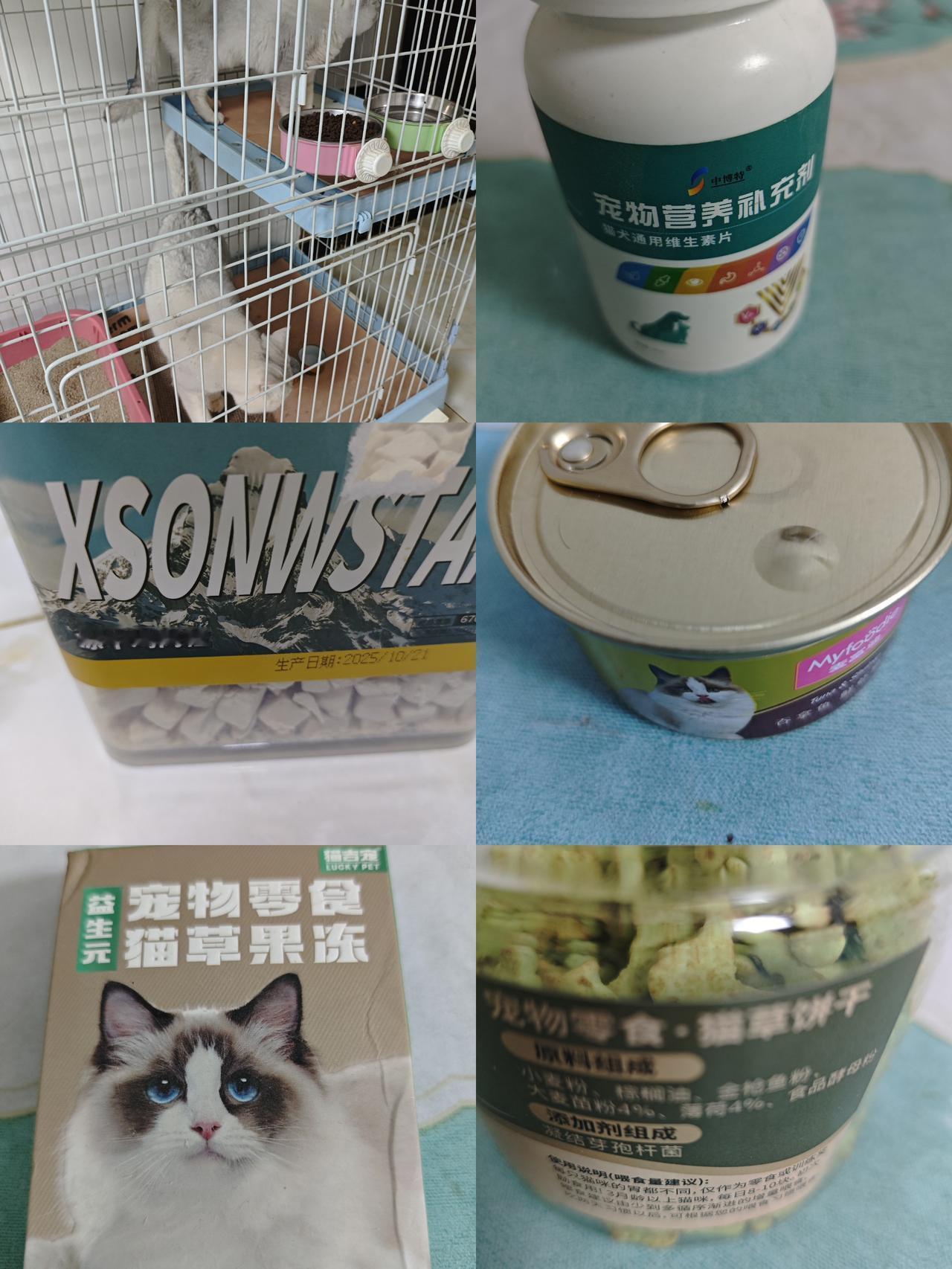 看看我家女儿是怎样对待猫的，各种食物应有尽有： 猫罐头、冻干鸡肉粒、宠物果冻、猫