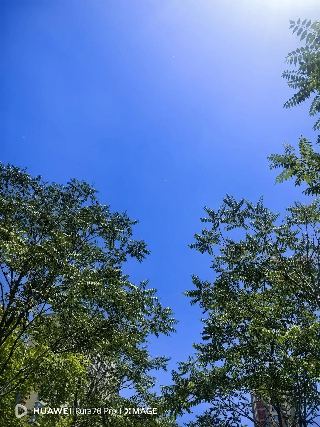 高考成绩公布后，头条里看到最多的就是介绍各地成绩优异的考生的文章，能考700分以