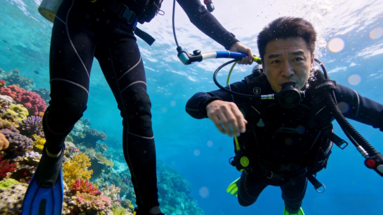 戴军潜水惊魂！水下被拔呼吸器逼拍照，户外玩水这4点保命常识必看
 
水下十几米的