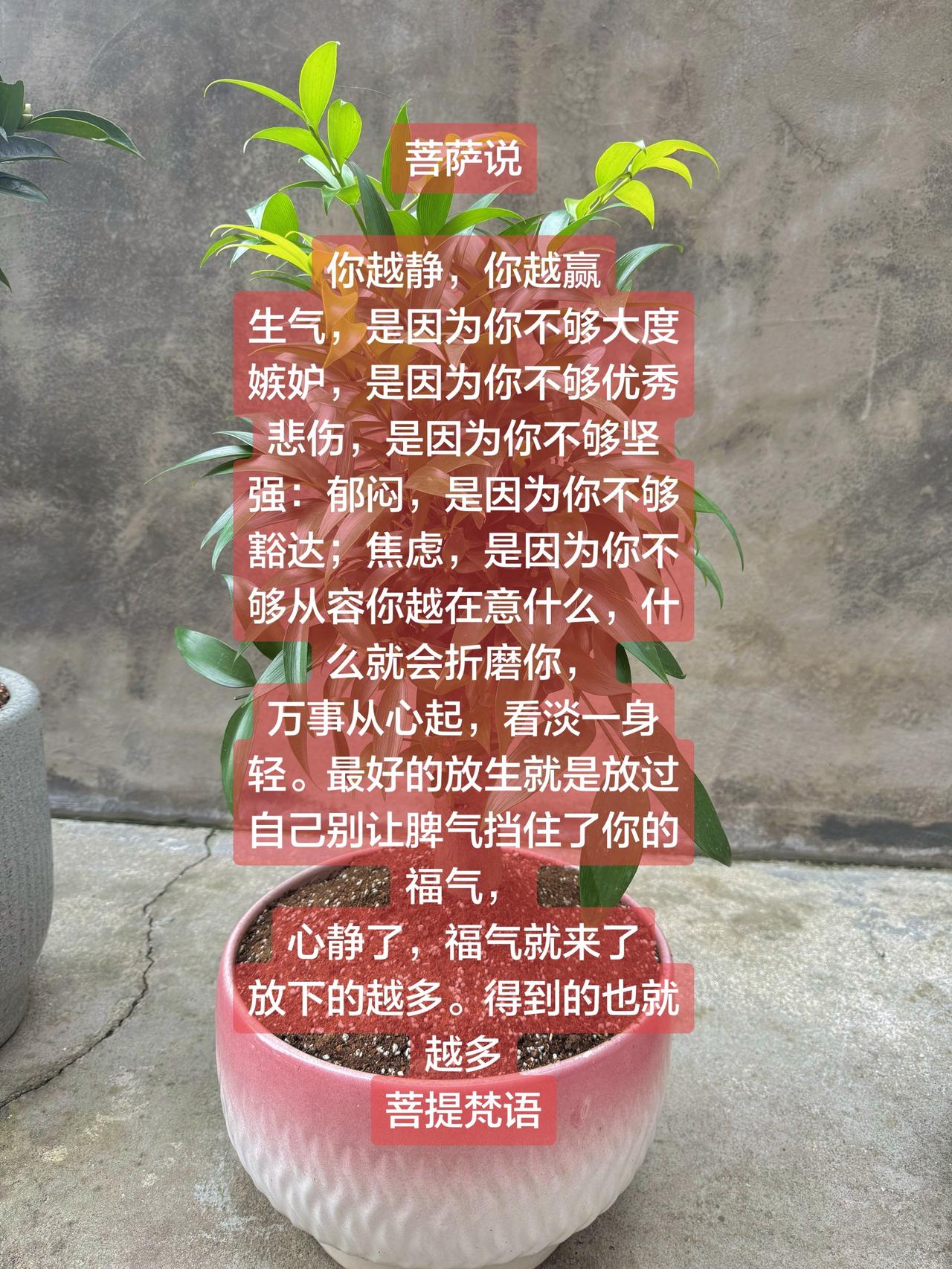 公道自在人心……