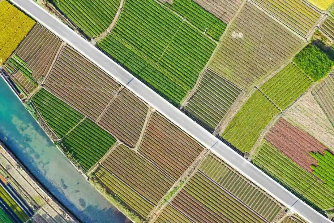 【车在画中行！全国美丽公路宁波有2条入选 】在中国公路学会发布的2026年度全国