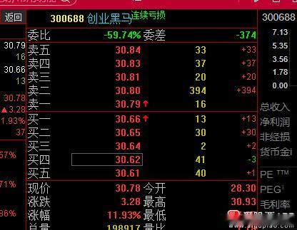 300688创业黑马，30.8-31附近清仓，因为这个是连续亏损板块的，我们不做