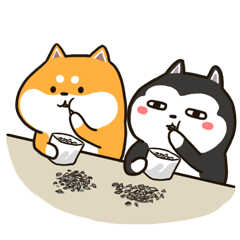 黄金4006-08接空，目标10-20美金黄金金价