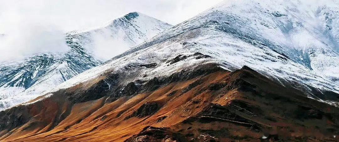 生命树把西北的野拍进骨子里 看《生命树》特辑，高原暴风雪对决，紧张得大气不敢出，