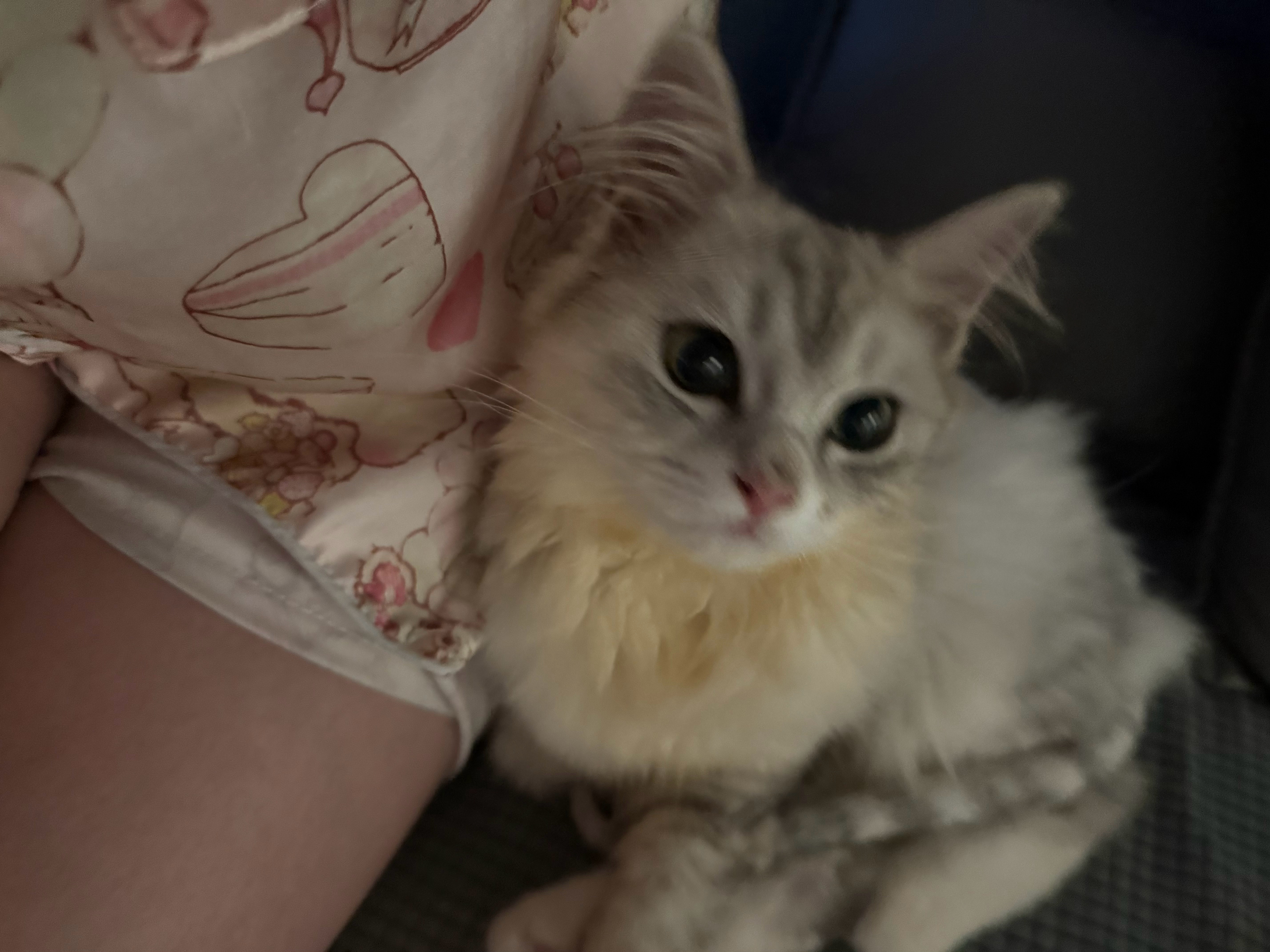 秋的悠闲生活 ​​​