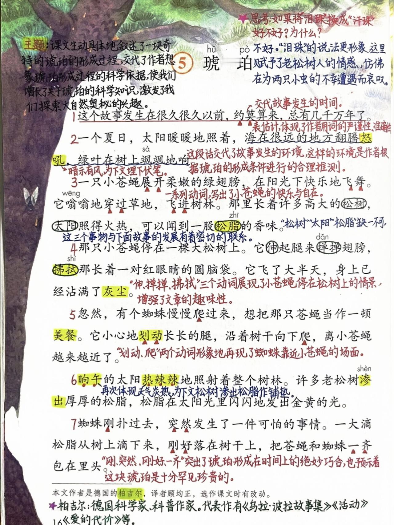四年级下册语文，第二单元《琥珀》《飞向蓝天的恐龙》《纳米技术就在我们身边》《千年