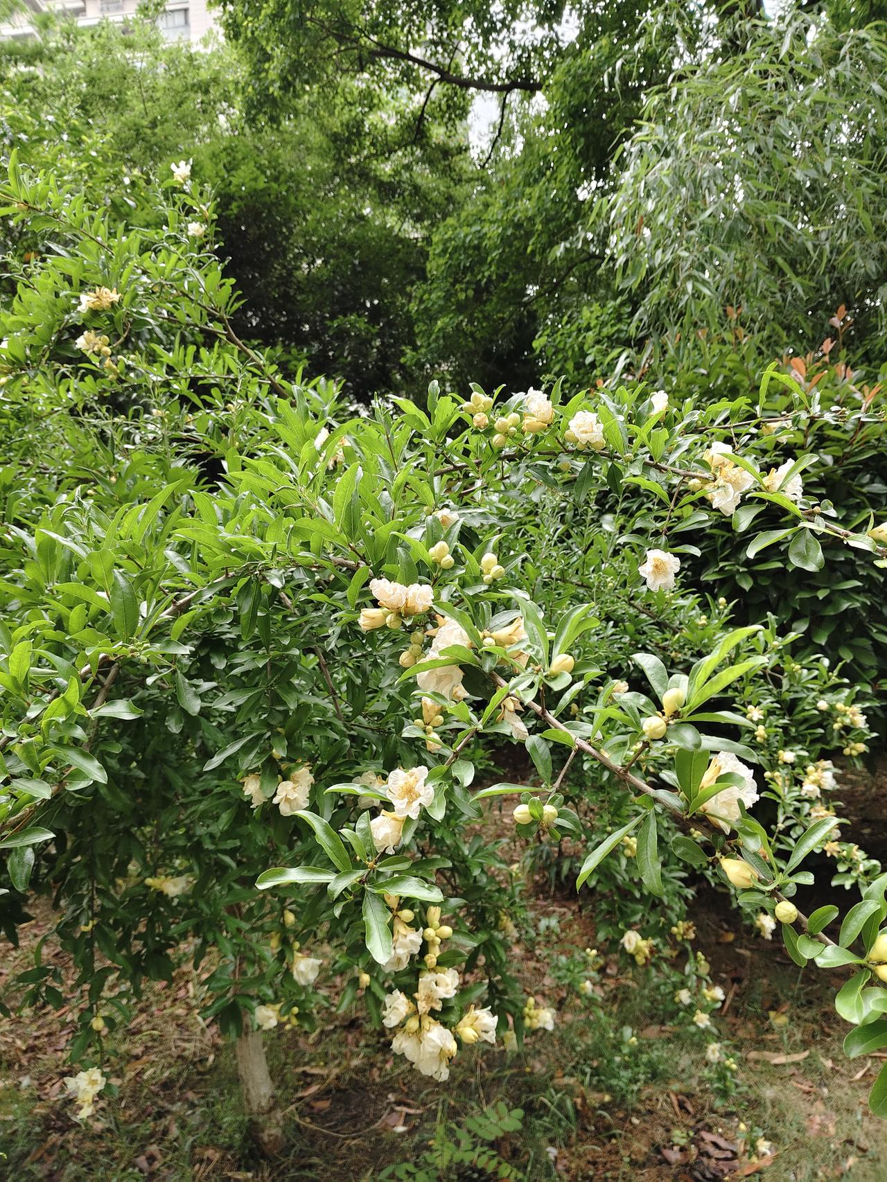 [近四千家个股下跌  大盘指数还能恢复牛市的动能吗？[点亮平安灯]][点亮平安灯