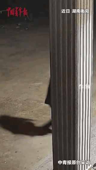 万万没想到！湖南，一位70岁老大爷在自家门口下台阶时，不慎摔落至台阶之下。当时，