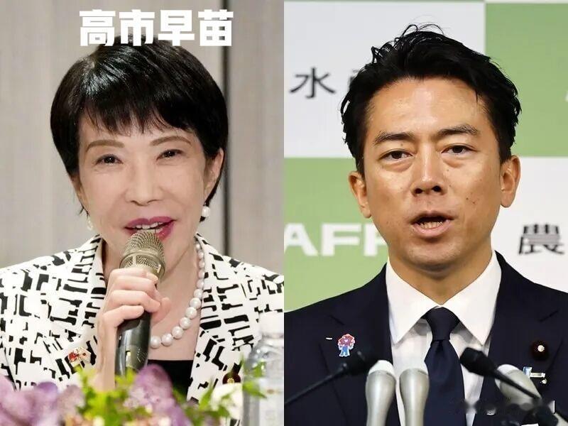 就在刚刚日本女首相闪亮登场！
据听说对中国人很不友好！
日本将迎来史上首位女首相
