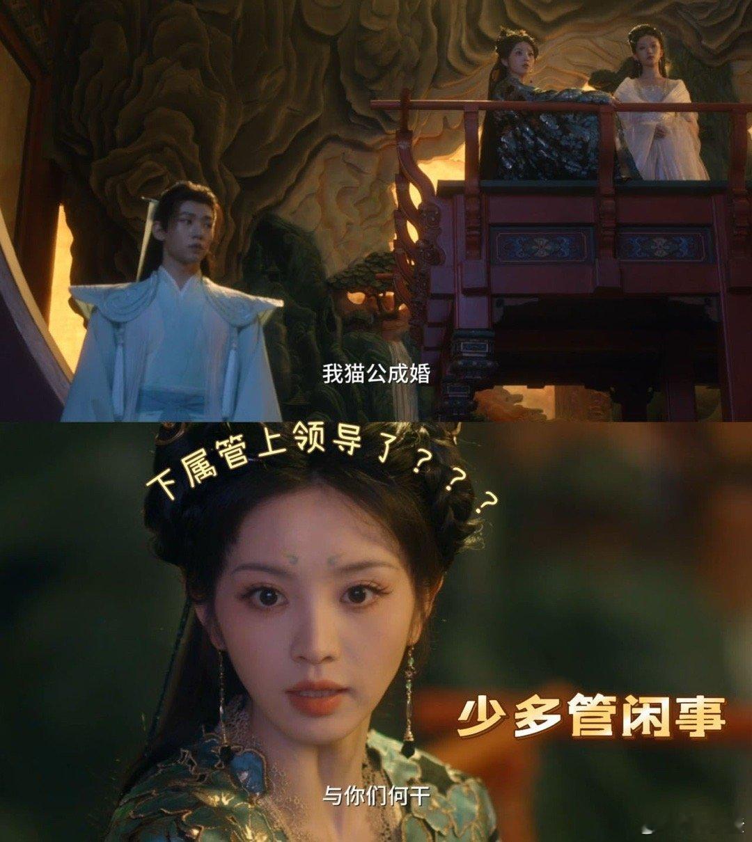 等我当上领导也像猫公这样田曦薇演领导太绝了，这执行力谁不佩服啊，要是领导都像猫公