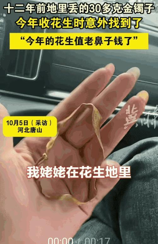万万没想到！河北唐山，女子的姥姥12年前在花生地里丢30多克金镯子。今年收花生时