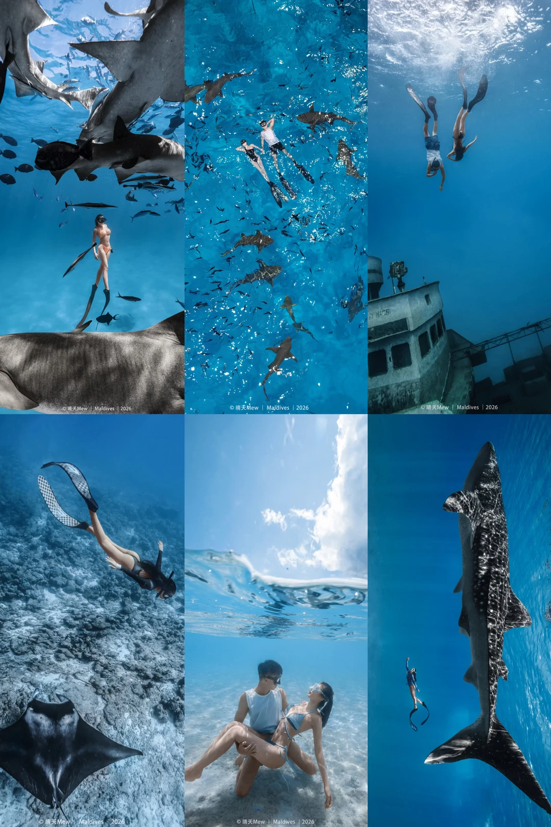 冲着这组蓝，我要去潜水了🌊｜马代包船拍摄