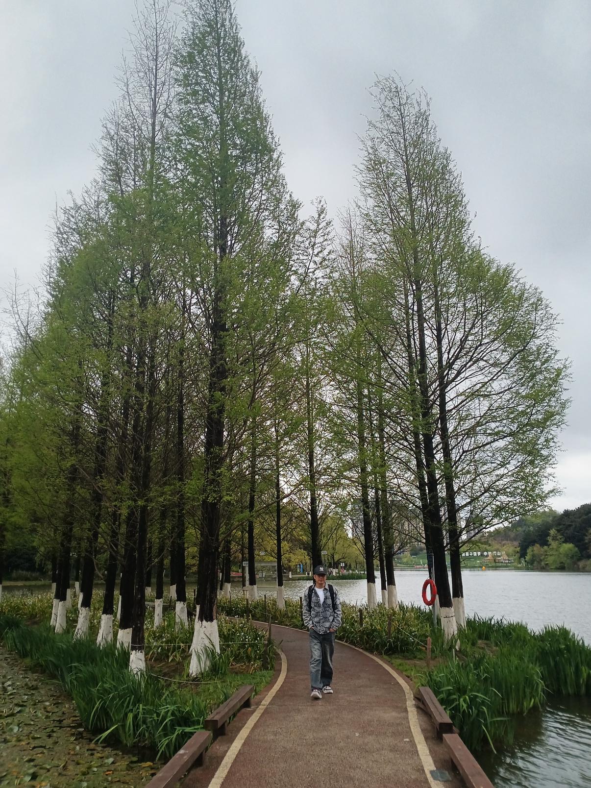 我的今日状态：😁轻松愉快
我这里的天气：☀️晴天