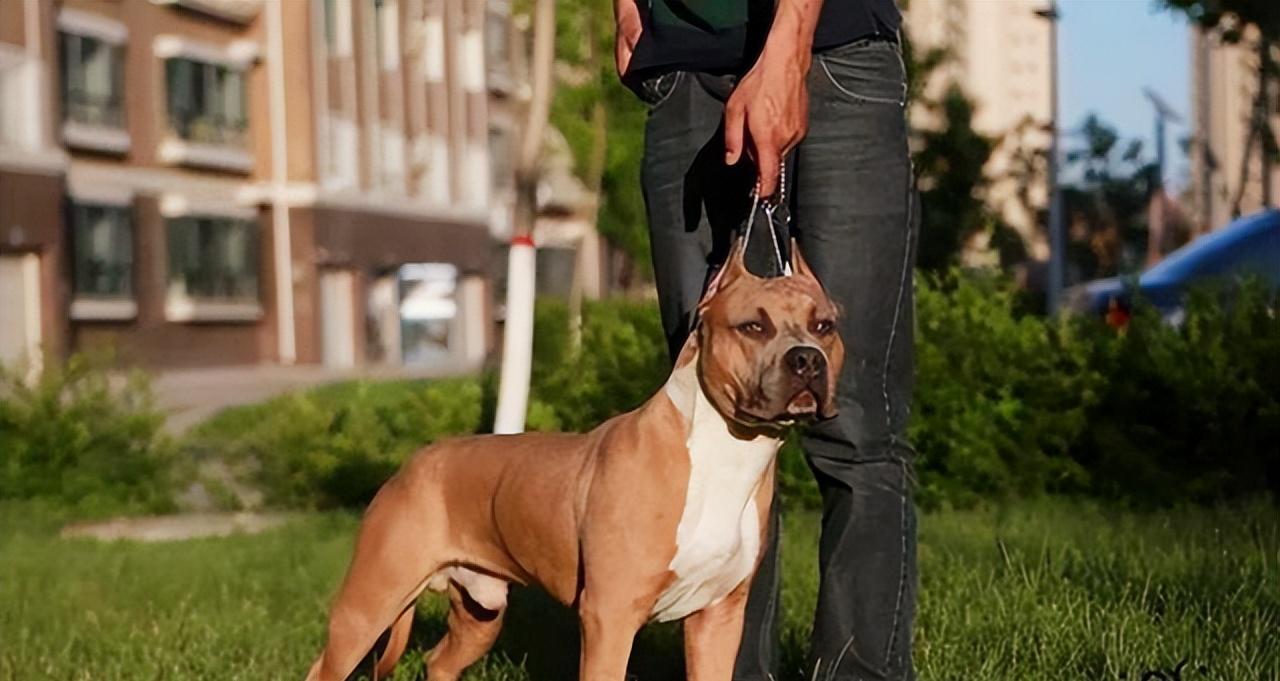 1998年，美国，9月1日的晚上一对情侣两个人一起去参加一场舞会。

安琪拉不会