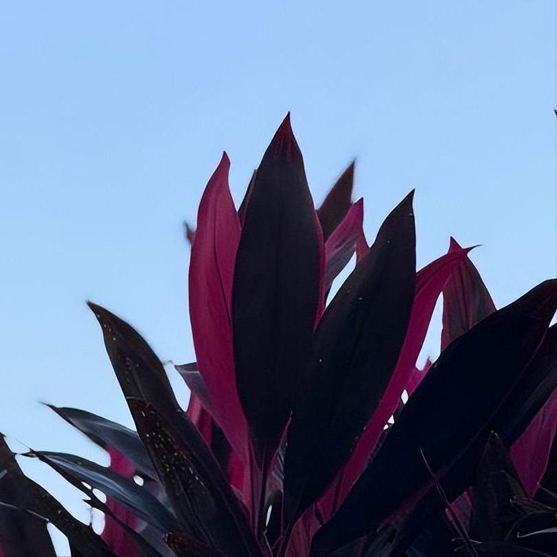 中央生态环保督察通报：北京2地违法违规倾倒工程渣土与处置建筑垃圾4大问题
 
1