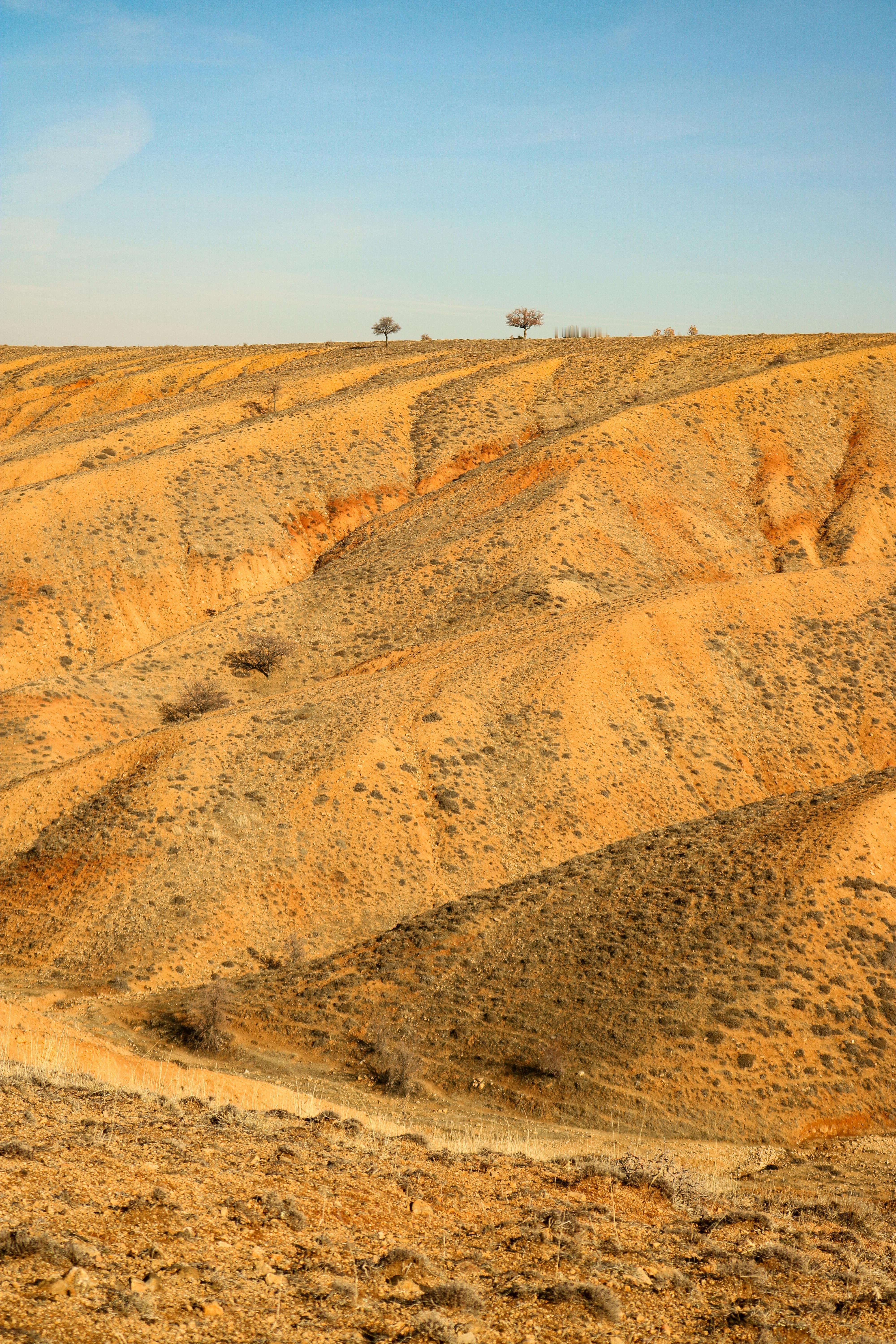 20240424日运指南戊午日今天的这个日课我琢磨了一下，是有点容易窝火的。而且