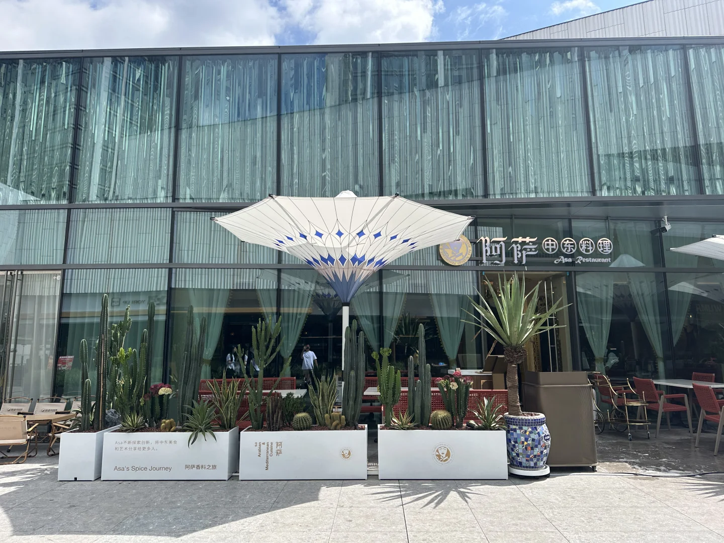 仙人掌🌵用来做做花箱外摆区也太出片啦